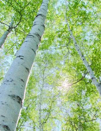 周辺やホテルのイメージ写真